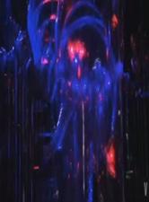 摄影界大咖WANIMAL王动19年2月另类作品集全是极品女模秒懂下套图174P+17V视频整合1V完整版.